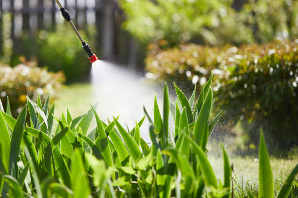 24/7 Emergency Mosquito Control experts in Spring Lake Park, MN