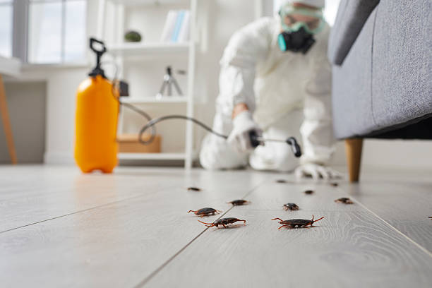 Affordable Mosquito Control solutions in Spring Lake Park, MN